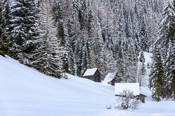 Naturaleza Escénica Invierno Pueblo Sappada Las Montañas Italia —  Fotos de Stock