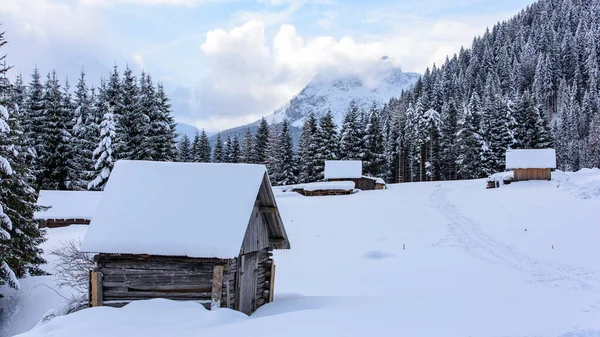 Живописная Зимняя Природа Деревне Саппада Горах Италия — стоковое фото