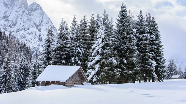 意大利山区Sappada村冬季风景自然 — 图库照片