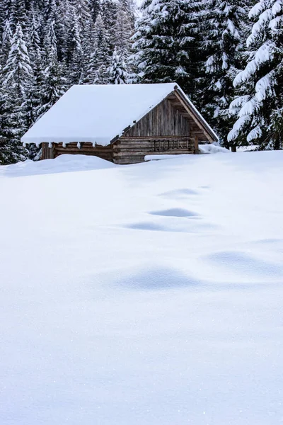 Scénická Zimní Příroda Vesnici Sappada Horách Itálie — Stock fotografie