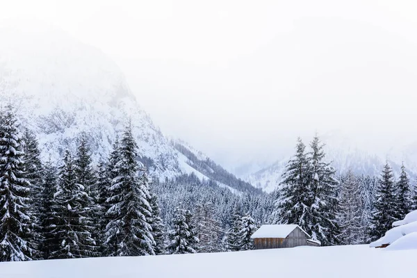 Живописная Зимняя Природа Деревне Саппада Горах Италия — стоковое фото