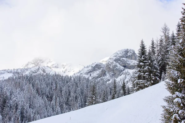 Natursköna Vintern Natur Sappada Bergen Italien — Stockfoto