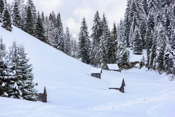 Natura Invernale Paesaggistica Nel Villaggio Sappada Montagna Italia — Foto Stock