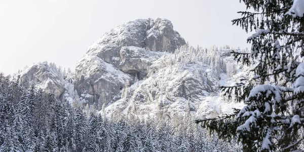 Scénická Zimní Příroda Vesnici Sappada Horách Itálie — Stock fotografie