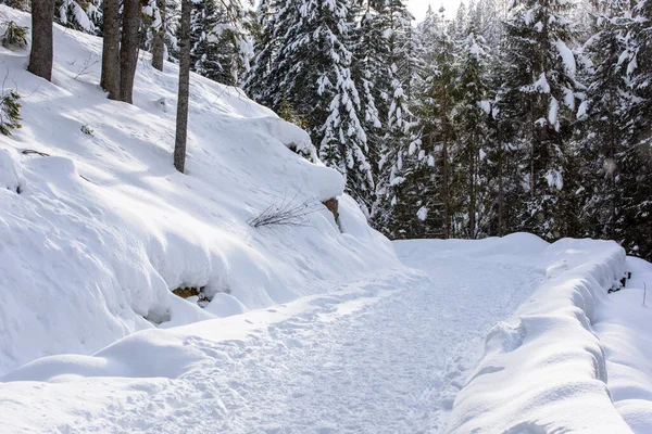 Scénická Zimní Příroda Vesnici Sappada Horách Itálie — Stock fotografie