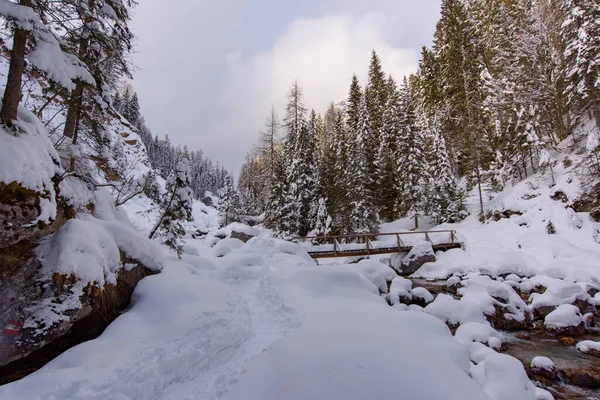 Naturskön Vinter Utsikt Över Sappada Byn Bergen Italien — Stockfoto