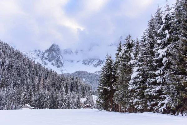 Malowniczy Widok Zimowy Wieś Sappada Górach Włochy — Zdjęcie stockowe