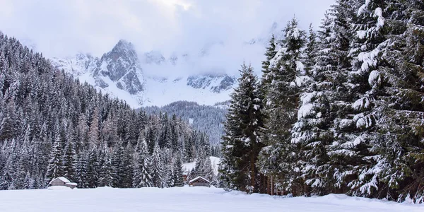 Vista Panoramica Invernale Del Villaggio Sappada Montagna — Foto Stock