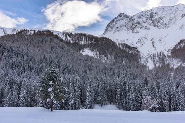 Panoramica Del Bellissimo Paesaggio Invernale Intorno Casere Valle Aurina Tirolo — Foto Stock