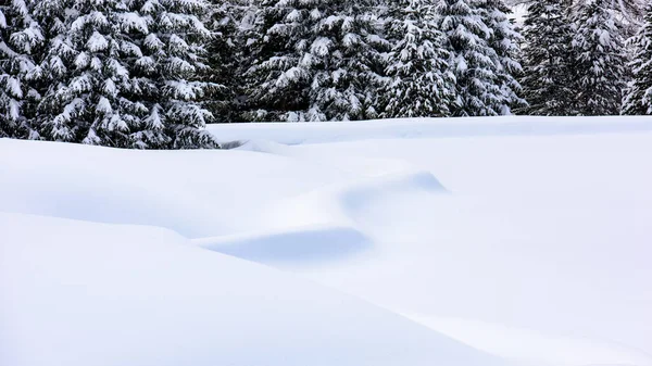 Panoramica Del Bellissimo Paesaggio Invernale Intorno Casere Valle Aurina Tirolo — Foto Stock