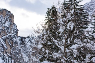 Braies Gölü çevresindeki güzel kış manzarasının manzarası, Güney Tyrol, İtalya 'daki Prag Dolomitleri