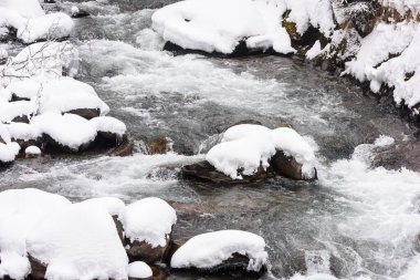 Karla kaplı ormanın kış manzarası