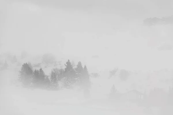 意大利多洛美 塞萨尔奥姆 小草山 美丽雪地的风景照片 — 图库照片