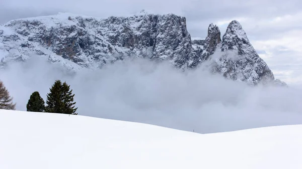 Vue Panoramique Belle Neige Couverte Alpe Siusi Seiser Alm Dolomites — Photo