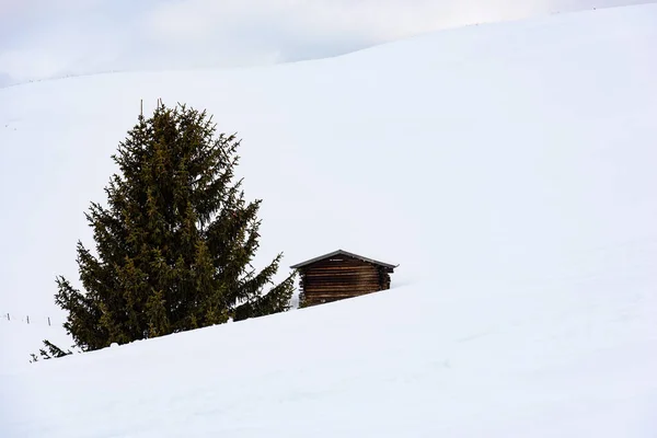 Pintoresca Toma Hermosa Nieve Cubierta Alpe Siusi Seiser Alm Dolomitas —  Fotos de Stock