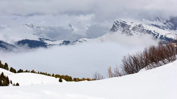 意大利多洛美 塞萨尔奥姆 小草山 美丽雪地的风景照片 — 图库照片