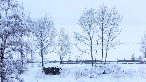 Winter Landscape Snowy Trees — Stock Photo, Image