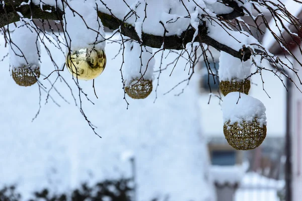 Close Shot Christmas Decorated Snow Covered Trees Outdoors — Stock Photo, Image