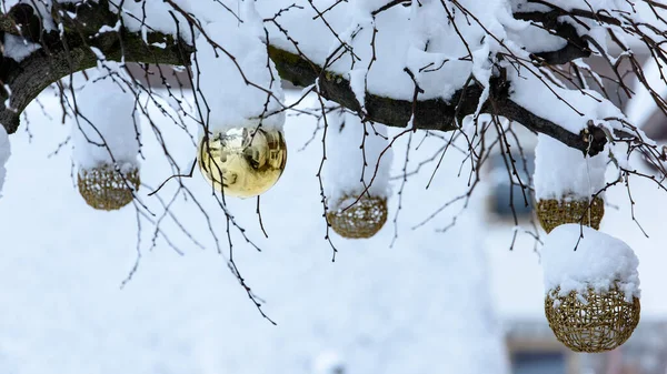 Zblízka Záběr Vánoční Zdobené Sněhem Pokryté Stromy Venku — Stock fotografie