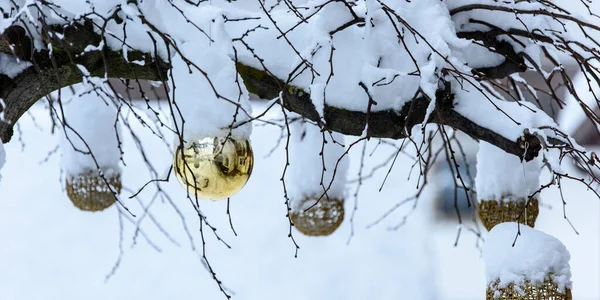クリスマスの終わりのショット屋外で覆われた木々を覆う雪 — ストック写真