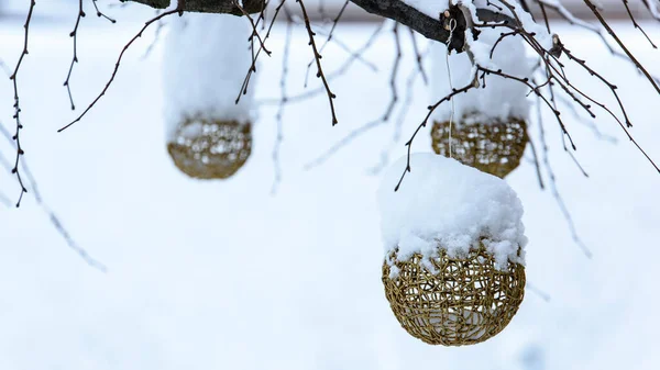 Close Shot Van Kerstmis Versierde Sneeuw Bedekt Bomen Buiten — Stockfoto