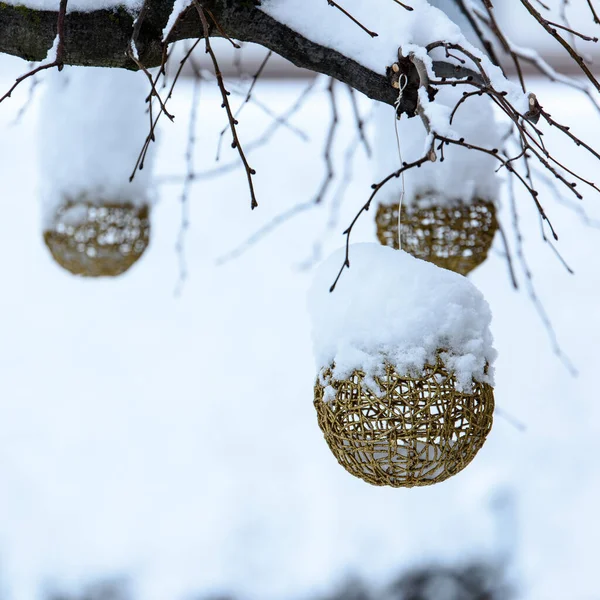 Primer Plano Navidad Decorado Árboles Cubiertos Nieve Aire Libre — Foto de Stock