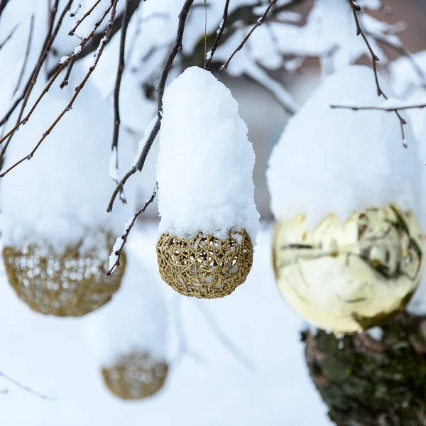 Zblízka Záběr Vánoční Zdobené Sněhem Pokryté Stromy Venku — Stock fotografie