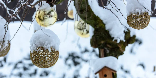Крупным Планом Рождественские Украшенные Снегом Деревья Открытом Воздухе — стоковое фото