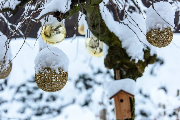 クリスマスの終わりのショット屋外で覆われた木々を覆う雪 — ストック写真