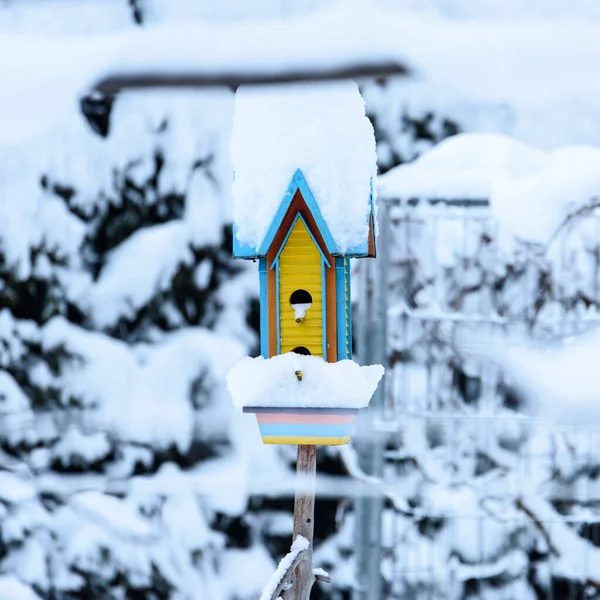 Vinterlandskap Villa Ottone Med Snötäckt Fågelhus — Stockfoto