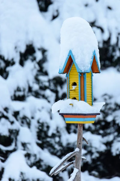 Zimní Krajina Vily Ottone Sněhem Pokrytou Ptačí Budkou — Stock fotografie