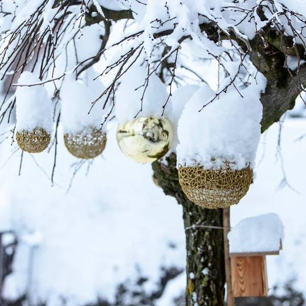 Zbliżenie Strzał Boże Narodzenie Ozdobione Śnieg Pokryte Drzewa Zewnątrz — Zdjęcie stockowe