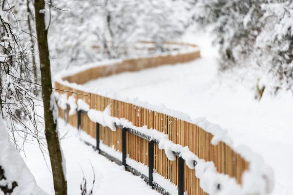 Detalles Del Patio Invierno Cubierto Nieve —  Fotos de Stock