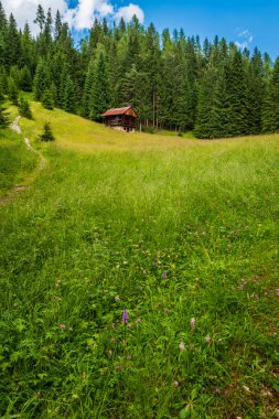 Ormanlar, dağlar ve köyler arasında Sappada. Dolomitler.