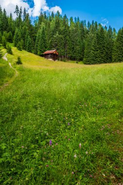 Ormanlar, dağlar ve köyler arasında Sappada. Dolomitler.