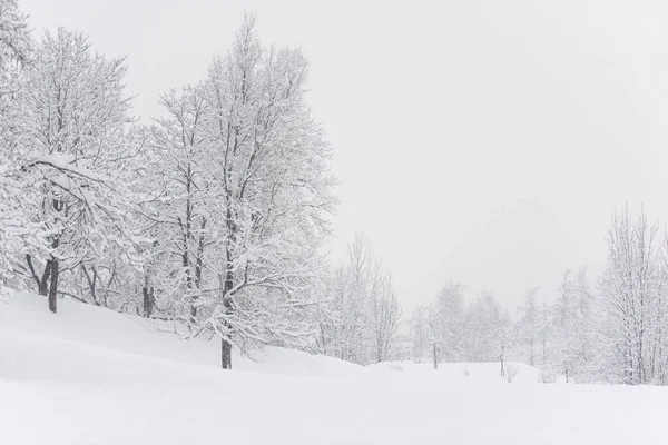 San Candido Brunico Italy — Stock Photo, Image