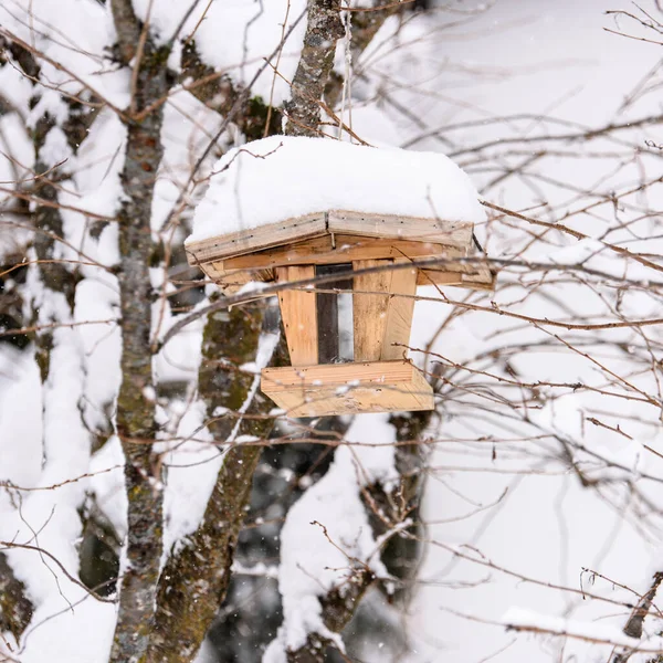 San Candido Brunico Itálie — Stock fotografie