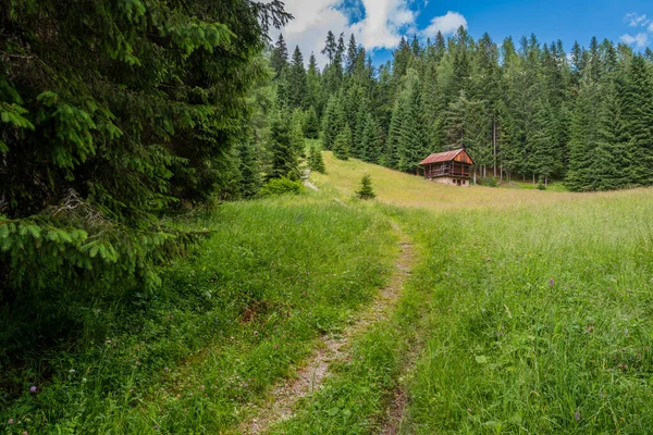 Sappada Között Erdők Hegyek Falvak Dolomitok — Stock Fotó