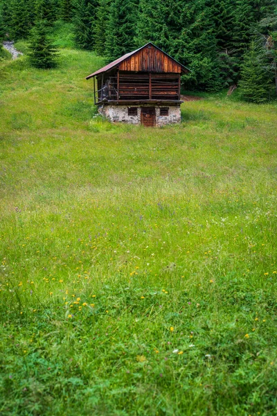 Sappada Entre Bosques Montanhas Aldeias Dolomitas — Fotografia de Stock