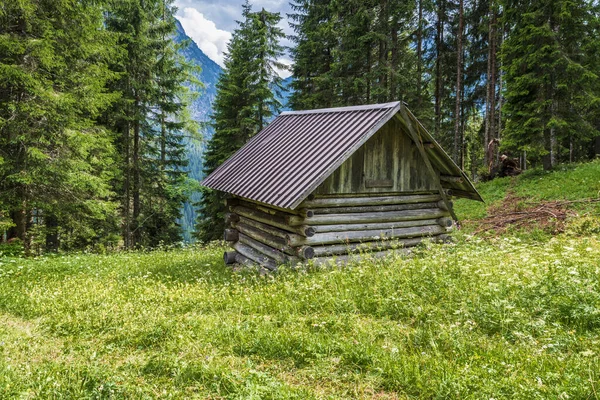 Sappada Entre Bosques Montañas Pueblos Dolomitas — Foto de Stock