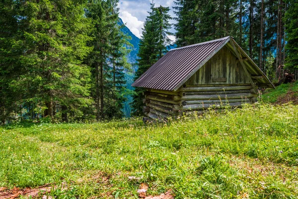 Sappada Között Erdők Hegyek Falvak Dolomitok — Stock Fotó