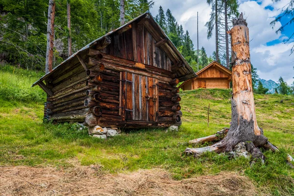 Ormanlar Dağlar Köyler Arasında Sappada Dolomitler — Stok fotoğraf