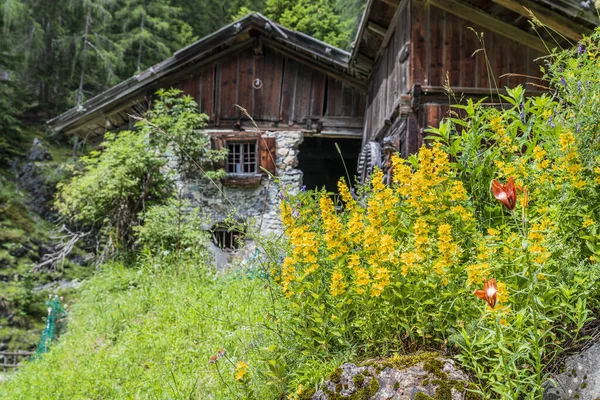 Sappada Falu Hegyekben Olaszország — Stock Fotó