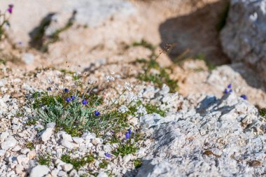 Dağlardaki güzel manzara, Val di Zoldo, İtalya