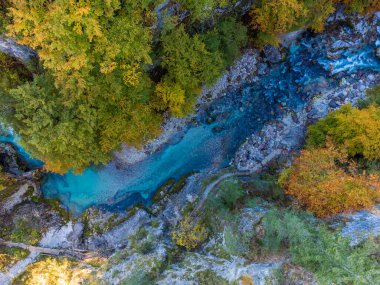 Ormandaki nehrin güzel manzarası