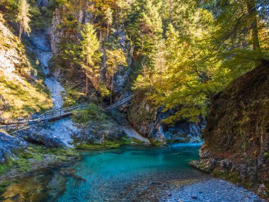 Dağ nehrinin güzel manzarası
