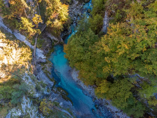 Vacker Utsikt Över Floden Skogen — Stockfoto