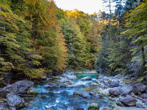 Красивый Осенний Пейзаж Рекой Лесом — стоковое фото