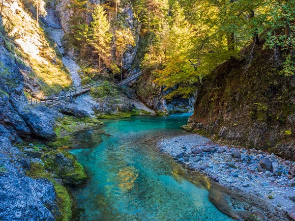 Krásný Výhled Horskou Řeku Lese — Stock fotografie