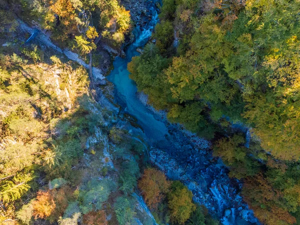 森林中河流的鸟瞰图 — 图库照片